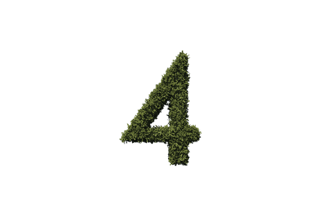 green leaf number 4 on transparent background isolated design - Download Free Stock Videos Pikwizard.com