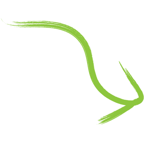 bright green curved brush arrow on transparent background - Download Free Stock Videos Pikwizard.com