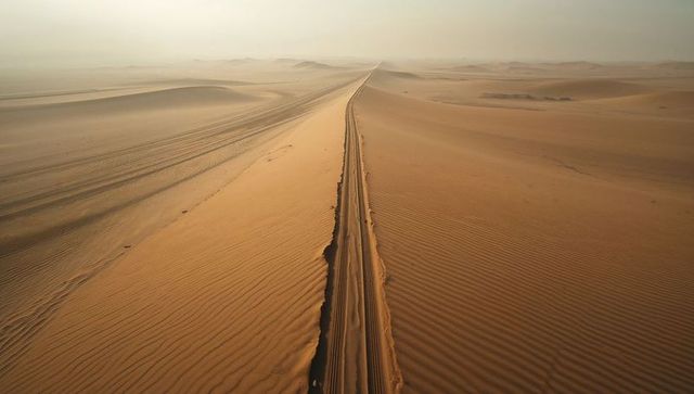 Winding tire tracks through expansive desert landscape