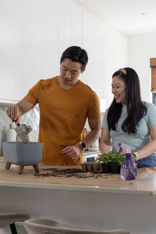 Asian couple planting seedlings on kitchen island indoor gardening lifestyle partners at home