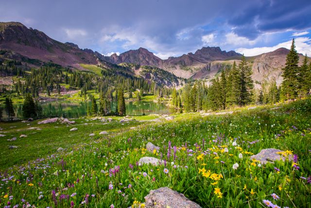 This depicts a vibrant wildflower meadow with various colorful blossoms in the foreground, leading to a serene alpine lake. Majestic mountainous terrain rises in the background under a partly cloudy sky, accentuating the natural beauty of the setting. Ideal for use in travel brochures, nature magazine spreads, environmental campaigns, and backgrounds for inspirational quotes or outdoor-themed promotions.