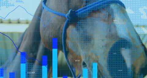 Horse in Stable with Overlay of Global Financial Data Visualization