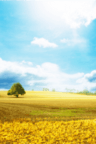 blurred idyllic landscape over transparent background - Download Free Stock Videos Pikwizard.com