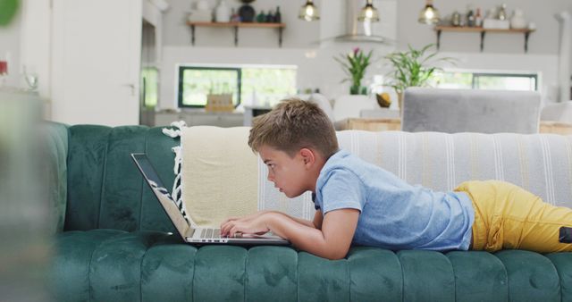 Young Boy Using Laptop on Sofa in Bright Living Room - Download Free Stock Images Pikwizard.com
