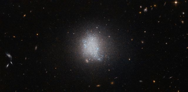The smudge of stars at the center of this NASA/ESA Hubble Space Telescope image is a galaxy known as UGC 5797. UGC 5797 is an emission line galaxy, meaning that it is currently undergoing active star formation. The result is a stellar population that is constantly being refurbished as massive bright blue stars form. Galaxies with prolific star formation are not only veiled in a blue tint, but are key to the continuation of a stellar cycle.  In this image UGC 5797 appears in front of a background of spiral galaxies. Spiral galaxies have copious amounts of dust and gas — the main ingredient for stars — and therefore often also belong to the class of emission line galaxies.  Spiral galaxies have disk-like shapes that drastically vary in appearance depending on the angle at which they are observed. The collection of spiral galaxies in this frame exhibits this attribute acutely: Some are viewed face-on, revealing the structure of the spiral arms, while the two in the bottom left are seen edge-on, appearing as plain streaks in the sky. There are many spiral galaxies, with varying colors and at different angles, sprinkled across this image — just take a look.   Credit: ESA/Hubble &amp; NASA, Acknowledgement: Luca Limatola  <b><a href="http://www.nasa.gov/audience/formedia/features/MP_Photo_Guidelines.html" rel="nofollow">NASA image use policy.</a></b>  <b><a href="http://www.nasa.gov/centers/goddard/home/index.html" rel="nofollow">NASA Goddard Space Flight Center</a></b> enables NASA’s mission through four scientific endeavors: Earth Science, Heliophysics, Solar System Exploration, and Astrophysics. Goddard plays a leading role in NASA’s accomplishments by contributing compelling scientific knowledge to advance the Agency’s mission.  <b>Follow us on <a href="http://twitter.com/NASAGoddardPix" rel="nofollow">Twitter</a></b>  <b>Like us on <a href="http://www.facebook.com/pages/Greenbelt-MD/NASA-Goddard/395013845897?ref=tsd" rel="nofollow">Facebook</a></b>  <b>Find us on <a href="http://instagrid.me/nasagoddard/?vm=grid" rel="nofollow">Instagram</a></b>