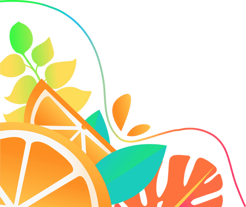 transparent citrus slices with tropical leaves vector illustration - Download Free Stock Videos Pikwizard.com