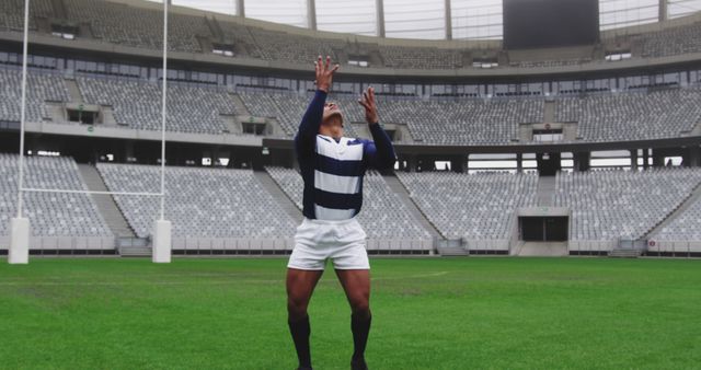 Rugby Player Practicing Catching Drill in Empty Stadium - Download Free Stock Images Pikwizard.com