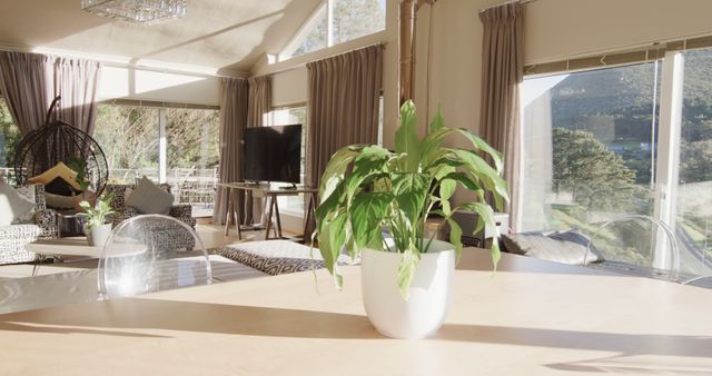 Bright Modern Living Room with Indoor Plant and Scenic Views - Download Free Stock Images Pikwizard.com