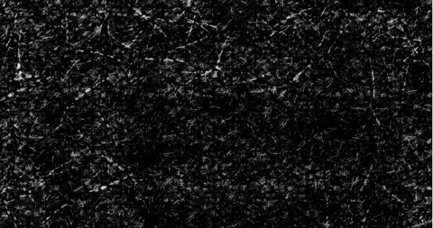 Monochrome Tangled Spaghetti Strands Creating Abstract Texture - Download Free Stock Images Pikwizard.com