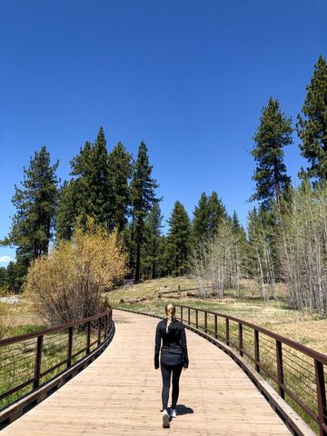 Woman Walking on Wooden Pathway Surrounded by Nature