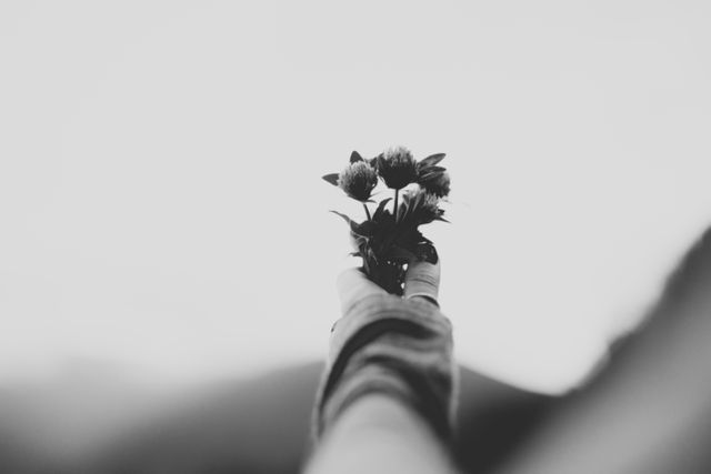 Hand Holding Small Flower Bouquet in Black and White - Download Free Stock Photos Pikwizard.com