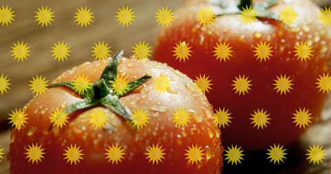 Fresh Tomatoes With Hydration and Sun Symbols Conceptual Art - Download Free Stock Images Pikwizard.com