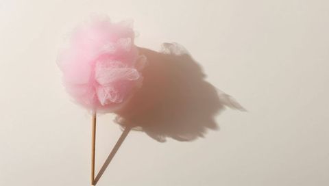 Pink tulle pom pom on wooden stick casting soft shadow minimalist pastel still life