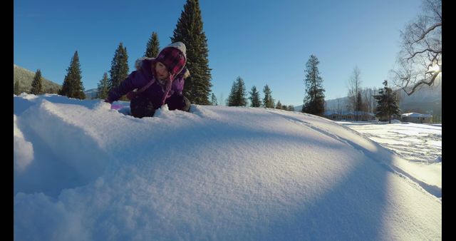 Child Playing in Snow on Sunny Winter Day - Download Free Stock Images Pikwizard.com