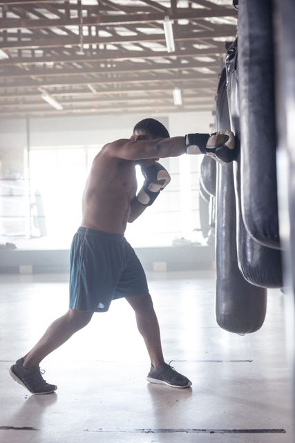 Side view of dedicated shirtless african american male boxer punching boxing bag in health club. Glove, sunlight, practicing, unaltered, boxing, sport, training, strength and fitness concept.