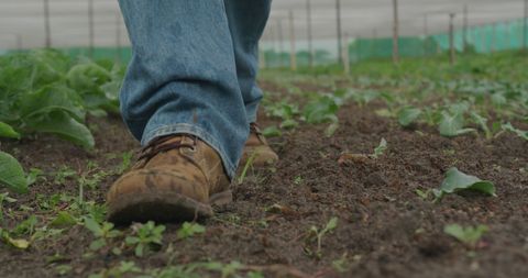 Close-Up of Boots Walking in Lush Green Garden with Soil - Download Free Stock Images Pikwizard.com