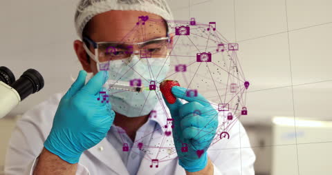 Scientist Analyzing Strawberry with Digital Overlay