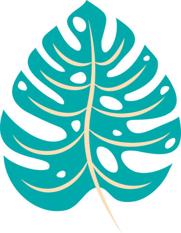 Vibrant teal tropical leaf with transparent background