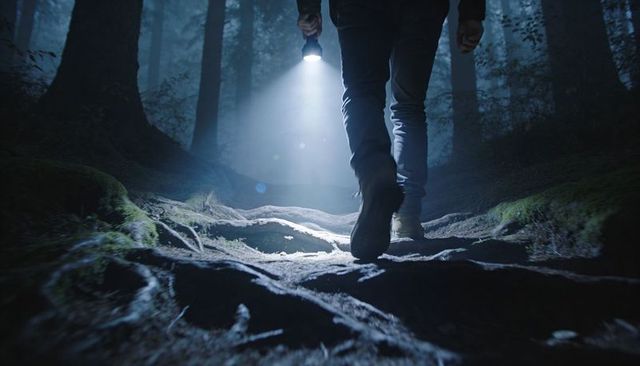 Solo hiker walking through moonlit forest holding flashlight illuminating rooted trail