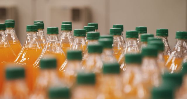 Packed juice bottles moving on production line in factory