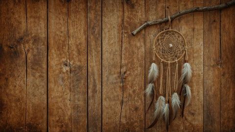 Rustic Dreamcatcher with Feather Accents Against Wooden Wall