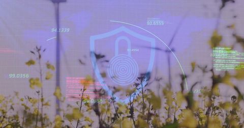 Biometric Security Overlay Meadow Setting Protecting Data