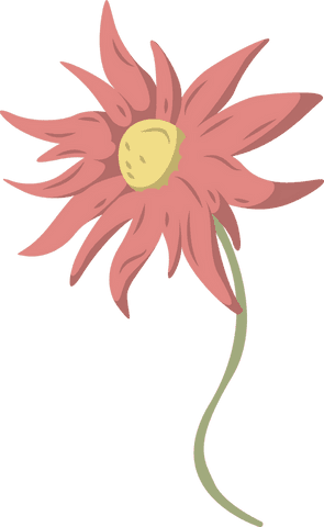 vector botanical floral design with coral petals on transparent background - Download Free Stock Videos Pikwizard.com