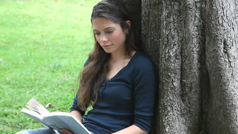 Serene Moment Reading Under a Shady Tree in Park