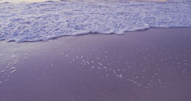 Serene Ocean Waves Gently Washing Ashore at Sunset - Download Free Stock Photos Pikwizard.com