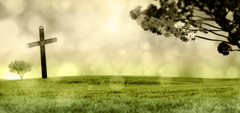Transparent Wooden Cross in Open Meadow with Tree Silhouettes - Download Free Stock Videos Pikwizard.com