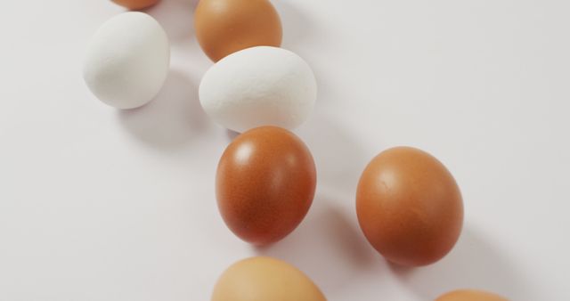 Close up view of brown and white eggs on white surface. food and nutrition concept