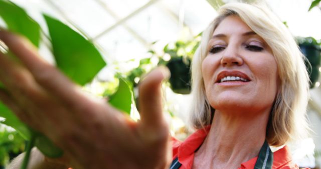 Woman Tending to Plants in Greenhouse - Download Free Stock Images Pikwizard.com