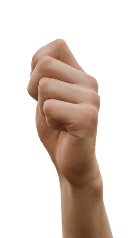 Transparent Hand Gesturing as if Holding