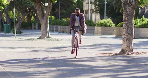 Man Cycling Through City Park on a Sunny Day - Download Free Stock Images Pikwizard.com