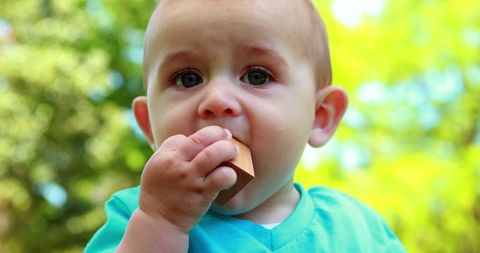 Adorable baby boy chewing wooden building block in sunlit park