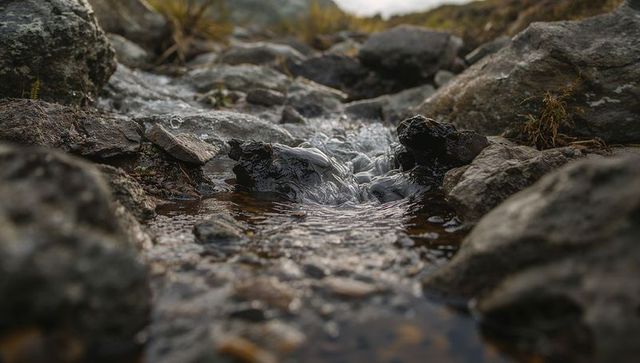 Low-angle close-up of mountain stream flowing over dark wet rocks and pebbles in upland moor