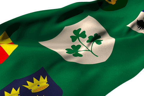 Transparent IRFU Centenary Logo Flag Waving Close-up