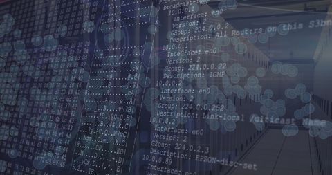 Digital Interface Concept with Global Data Network and Server Room - Download Free Stock Images Pikwizard.com
