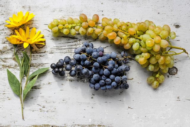 Still life displaying a bunch of green and black grapes alongside yellow flowers on rustic white wood background. Ideal for themes related to healthy eating, nature, freshness, or rustic decor. Can be used in blogs, websites, magazines about food, diet, or horticulture.