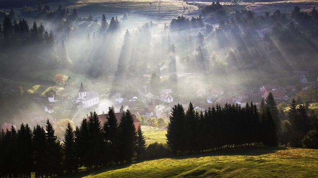 Sun rays shine through trees over a misty village, creating a tranquil and peaceful scene perfect for depicting serene mornings, countryside life, and natural beauty. Ideal for use in nature-themed projects, travel publications, or inspirational visuals promoting relaxation and tranquility.