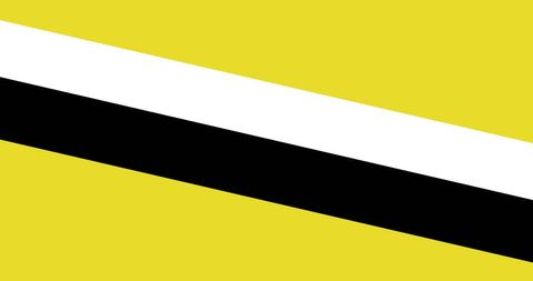 Striking diagonal white and black stripes on yellow background