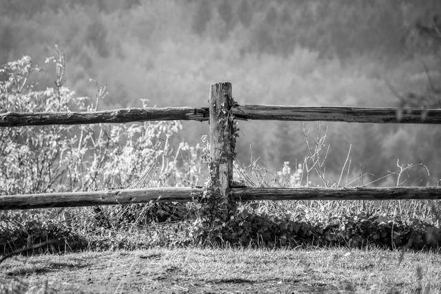 Rustic wooden fence in a countryside setting with grass and faint foliage visible, presented in black and white. Ideal for use in projects involving rural life, tranquility, or nostalgic scenes. Fit for websites, blogs, nature presentations, or vintage-themed works.