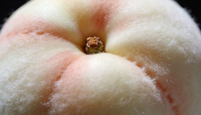 Studio macro white peach fuzz and stem crease detail, soft pale peach skin texture closeup