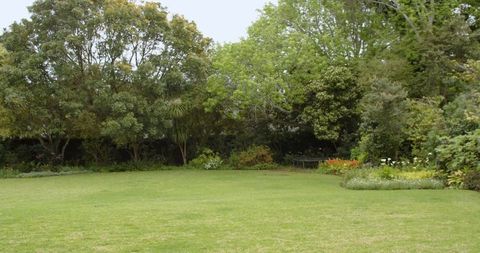 Lush Green Backyard with Blooming Garden and Tranquil Ambience