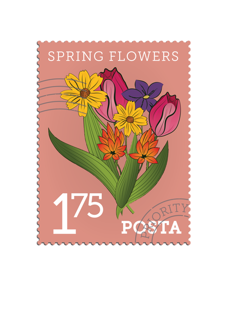 Colorful Spring Flowers Postal Stamp Illustration on Transparent Background - Download Free Stock Videos Pikwizard.com