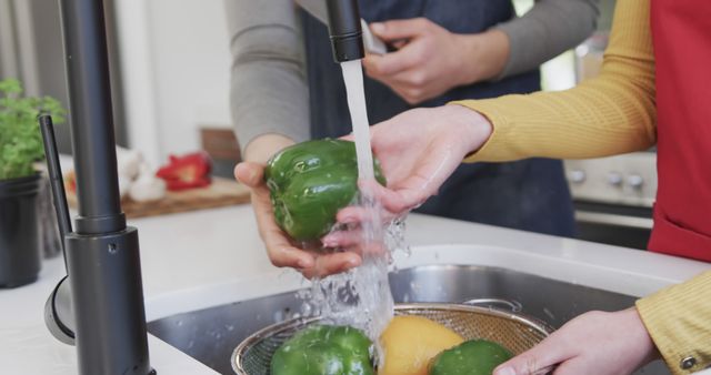 Washing Fresh Bell Peppers in Modern Kitchen - Download Free Stock Images Pikwizard.com