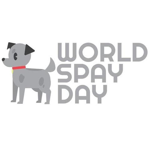 World Spay Day Cartoon Dog Promoting Pet Ownership Awareness from Pikwizard