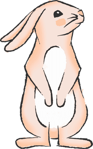 whimsical cartoon rabbit with transparent background - Download Free Stock Videos Pikwizard.com