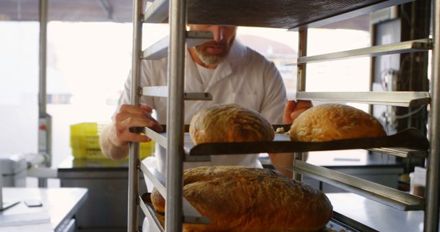 Baker Arranging Freshly Baked Bread in Bakery - Download Free Stock Images Pikwizard.com