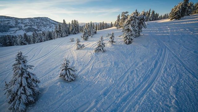 Golden hour snowy alpine slope featuring groomed tracks and snow-covered evergreen trees